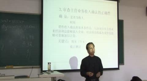 審計技術(shù)語方法第八講