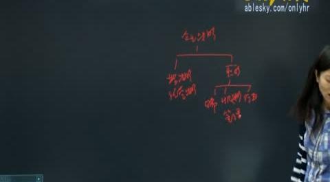 第一章：人力資源規(guī)劃 第一節(jié)：企業(yè)人力資源戰(zhàn)略規(guī)劃 第一單元：戰(zhàn)略性人力資源管理 2