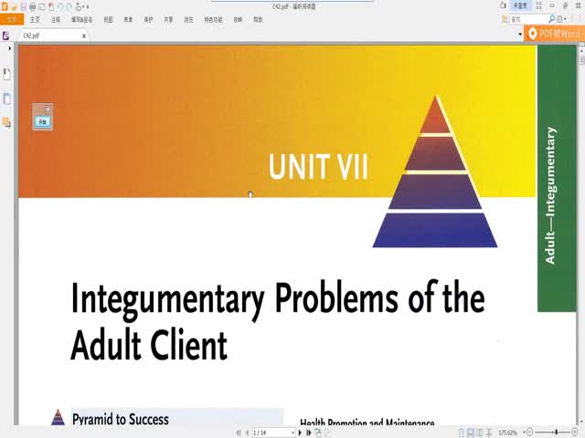 CHAPTER&nbsp;42&nbsp;皮膚系統(tǒng)疾病