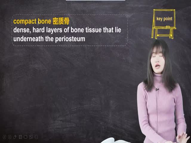 第十四章&nbsp;醫(yī)學(xué)詞匯英語(yǔ)無(wú)憂