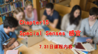 暑期班7.31日护理词汇Chapter15 Special Senses 感官