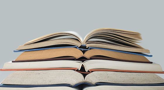 2016企業(yè)與公司法&nbsp;