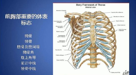 添翼ISPN/RN護(hù)理西醫(yī)綜合--呼吸系統(tǒng)