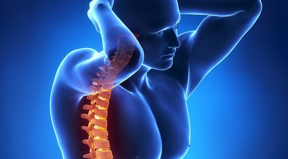 添翼ISPN/RN醫(yī)學詞匯課&nbsp;第十四章&nbsp;肌骨系統&nbsp;Musculoskeletal&nbsp;System