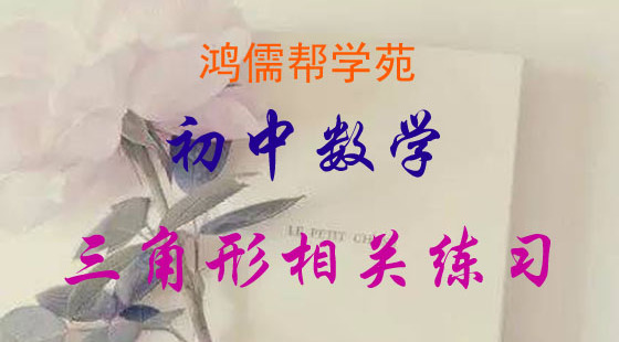初二數(shù)學三角形的練習與總結