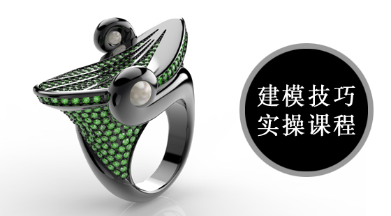 犀牛及MATRIX技能提升課建模（TS螺旋戒指）004