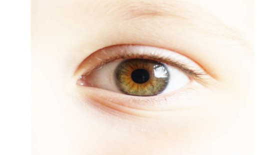 2018年暑期班&nbsp;第十二章&nbsp;Eye