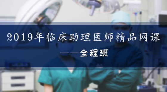 2019年臨床執業助理醫師精品網課——全程班