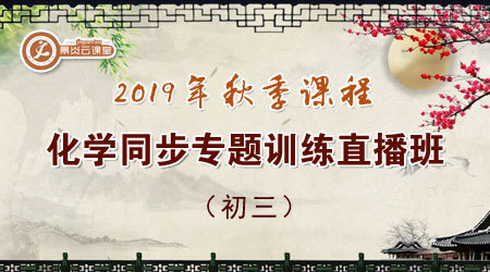 【2019年秋季】初三化学同步专题训练直播班